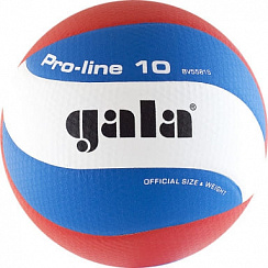 Волейбольный мяч GALA Pro-Line 10 BV5581S р.5 белый-голубой-красный